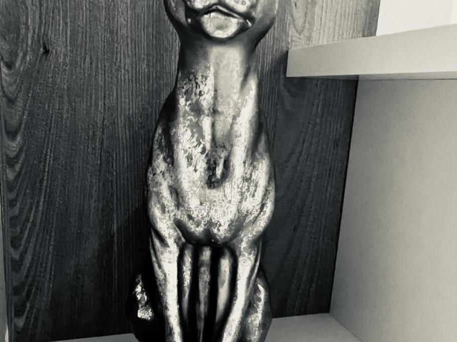 Oespede Lara Malpica De Bergantinos-Costa Da Morte Malpica de Bergantiños Exterior foto